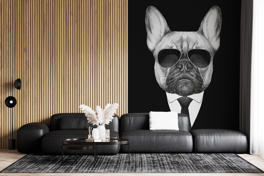 Bulldog in abito — ambiente 4