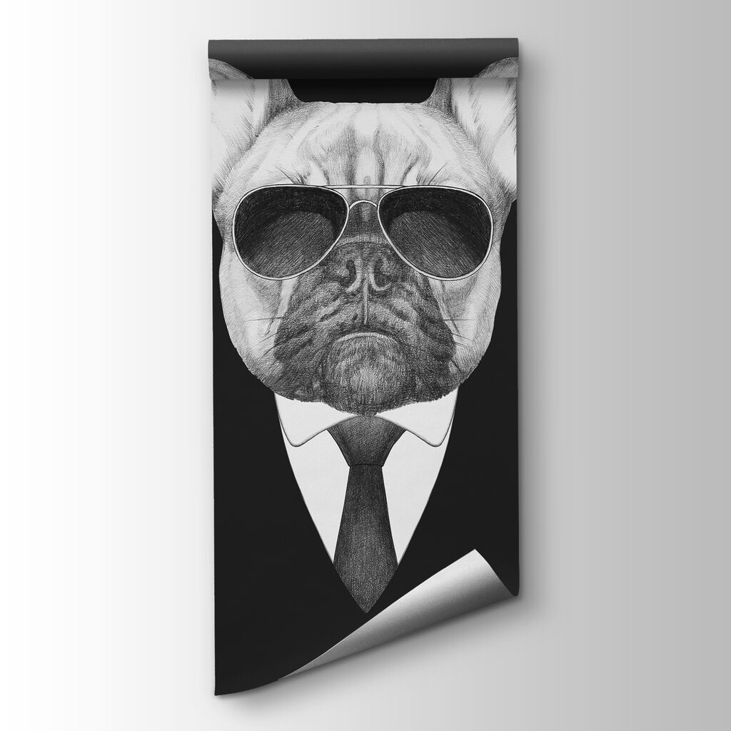 Bulldog in abito — vista del prodotto