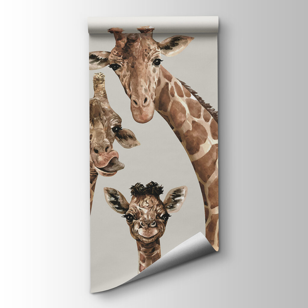 Tre giraffe che guardano — vista del prodotto