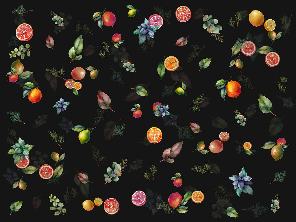 Agrumi e frutti sparsi — design completo