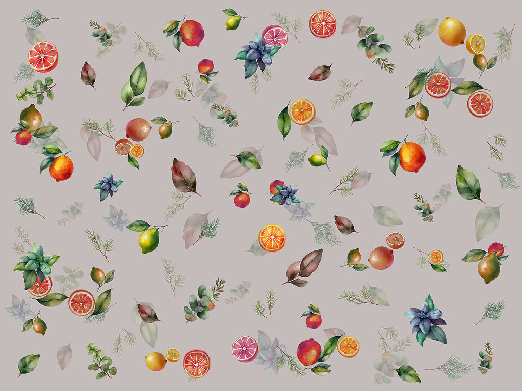 Agrumi e frutti sparsi — design completo