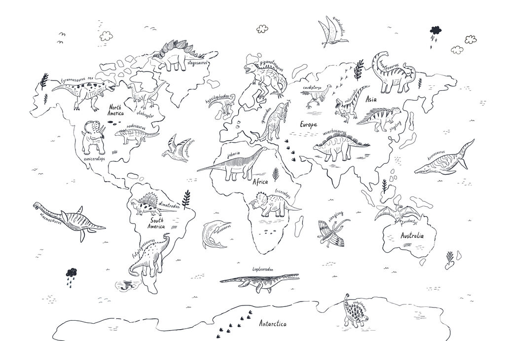 Mappa di linee sottili — design completo