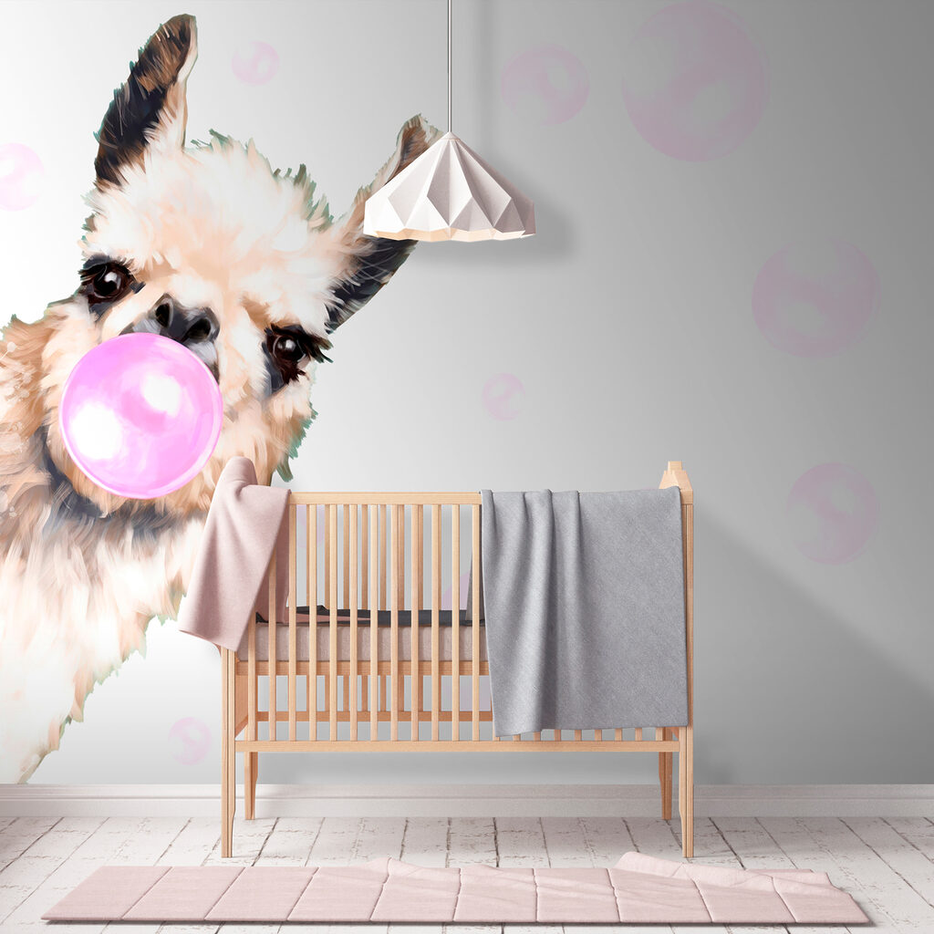 Lama fa la bolla — ambiente 2