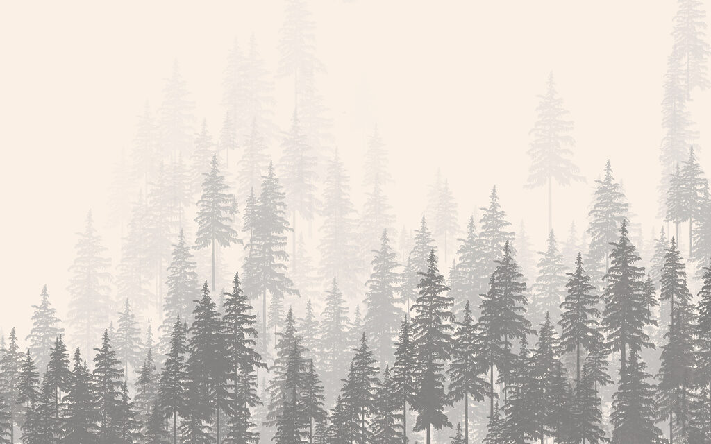 Pini chiari nella nebbia — design completo