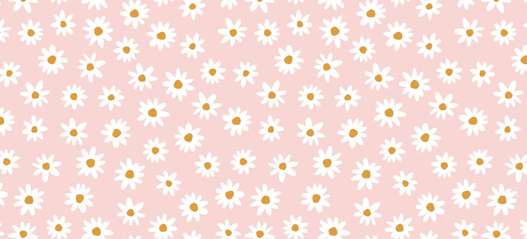 Margherite bianche su rosa — design completo