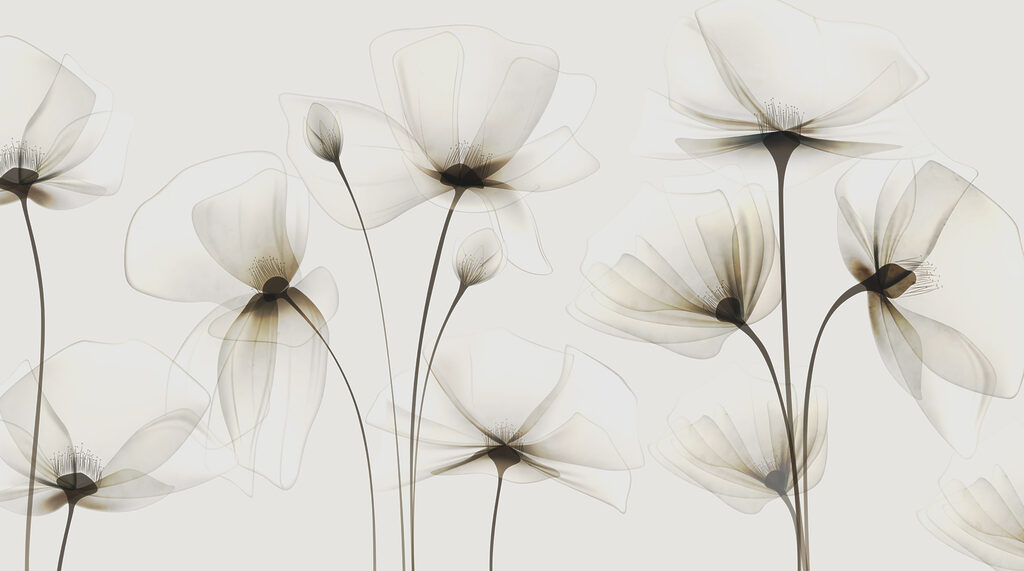 Fiori con petali trasparenti — design completo