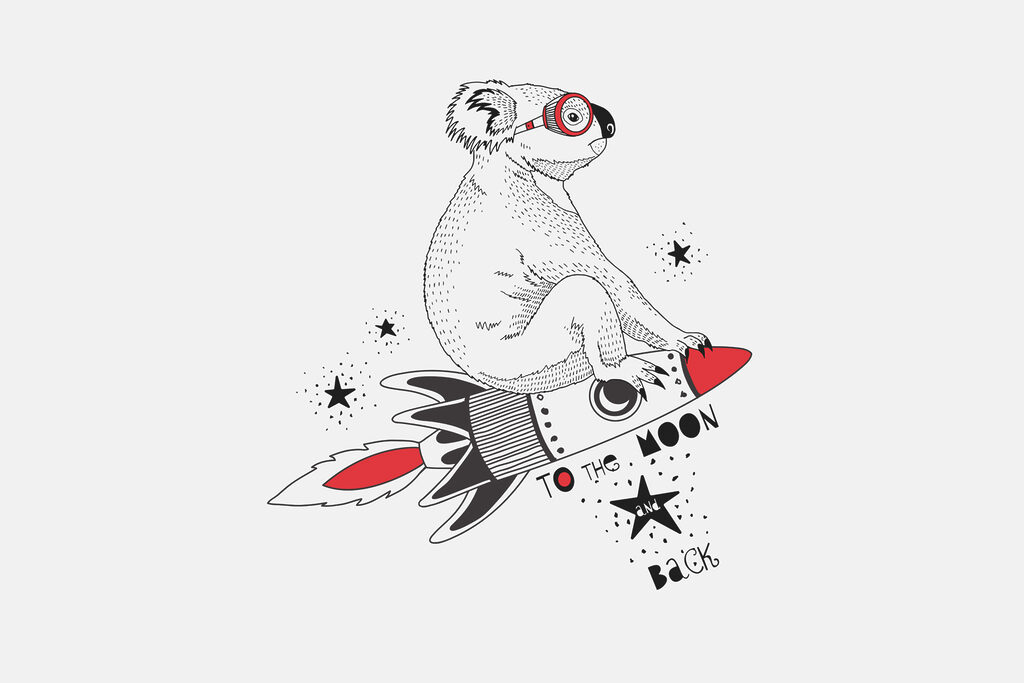 Koala su un razzo — design completo