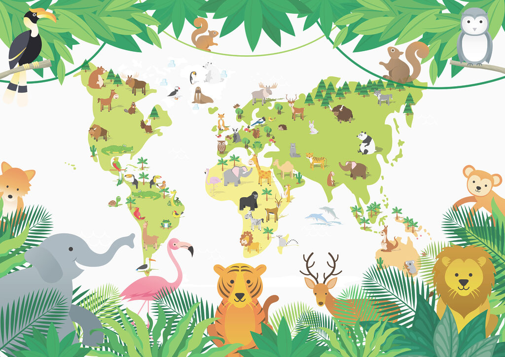 Mappa verde tra foglie — design completo