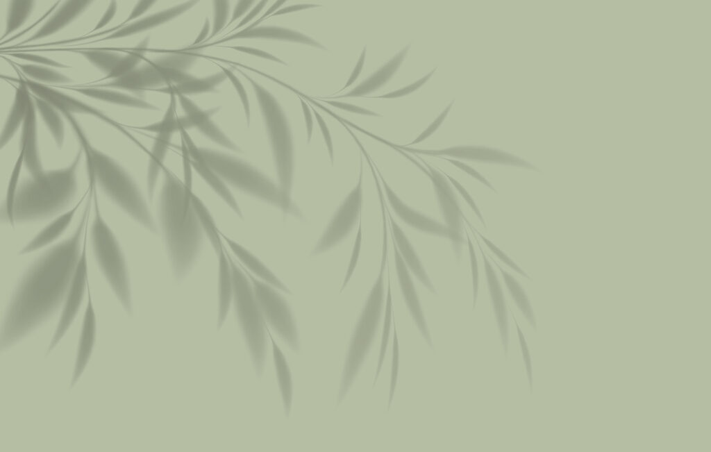 Ombra di un ramo — design completo