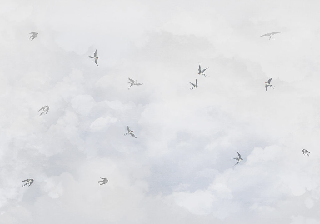 Nuvole sottili nel cielo — design completo
