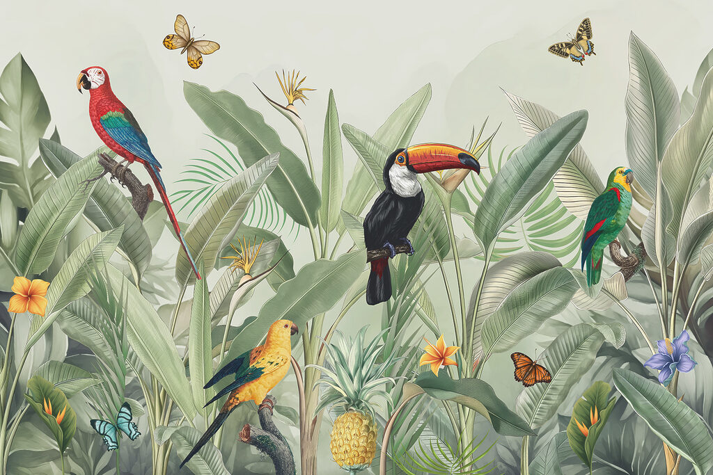 Tucano e pappagalli — design completo
