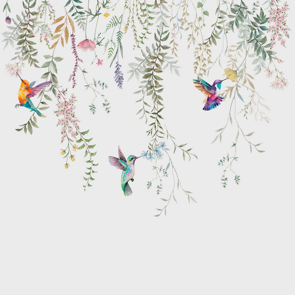 Colibrì tra fiori appesi — design completo