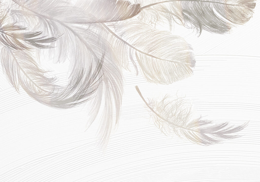 Piume bianche che fluttuano — design completo