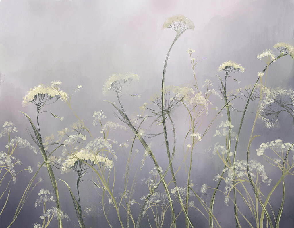 Ombrellifere nella nebbia — design completo