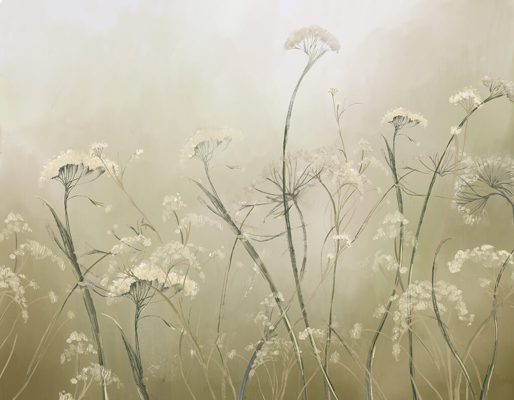 Ombrellifere nella nebbia — design completo