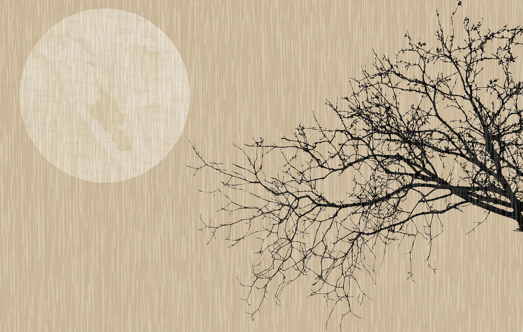 Ramo davanti alla luna — design completo