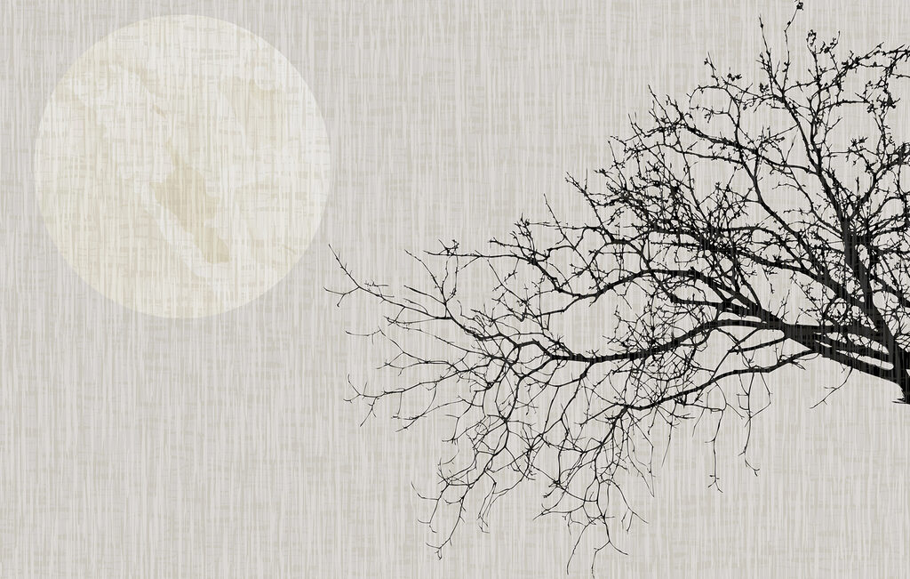 Ramo davanti alla luna — design completo