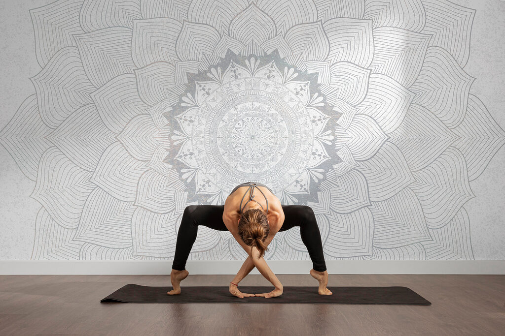 Mandala a linee fini — ambiente 3