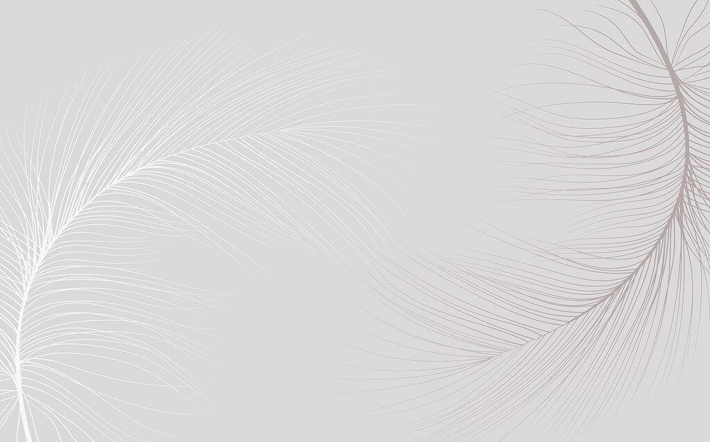 Linee di piume bianche — design completo
