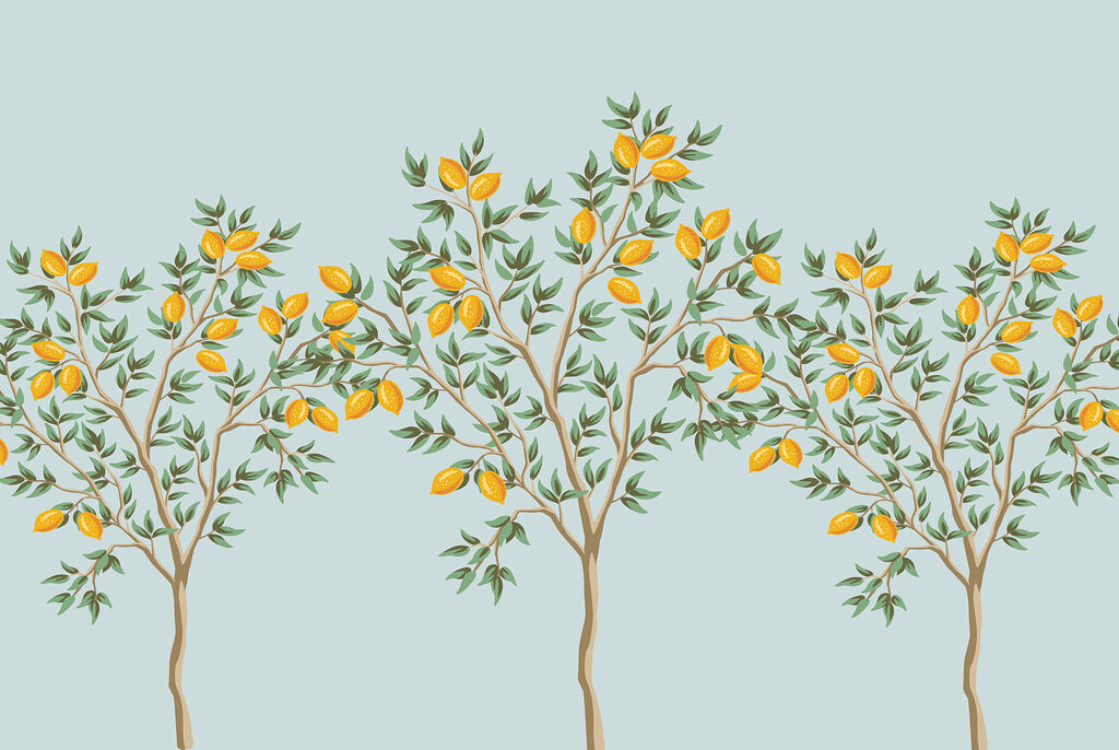 Piccoli alberi di limone — design completo