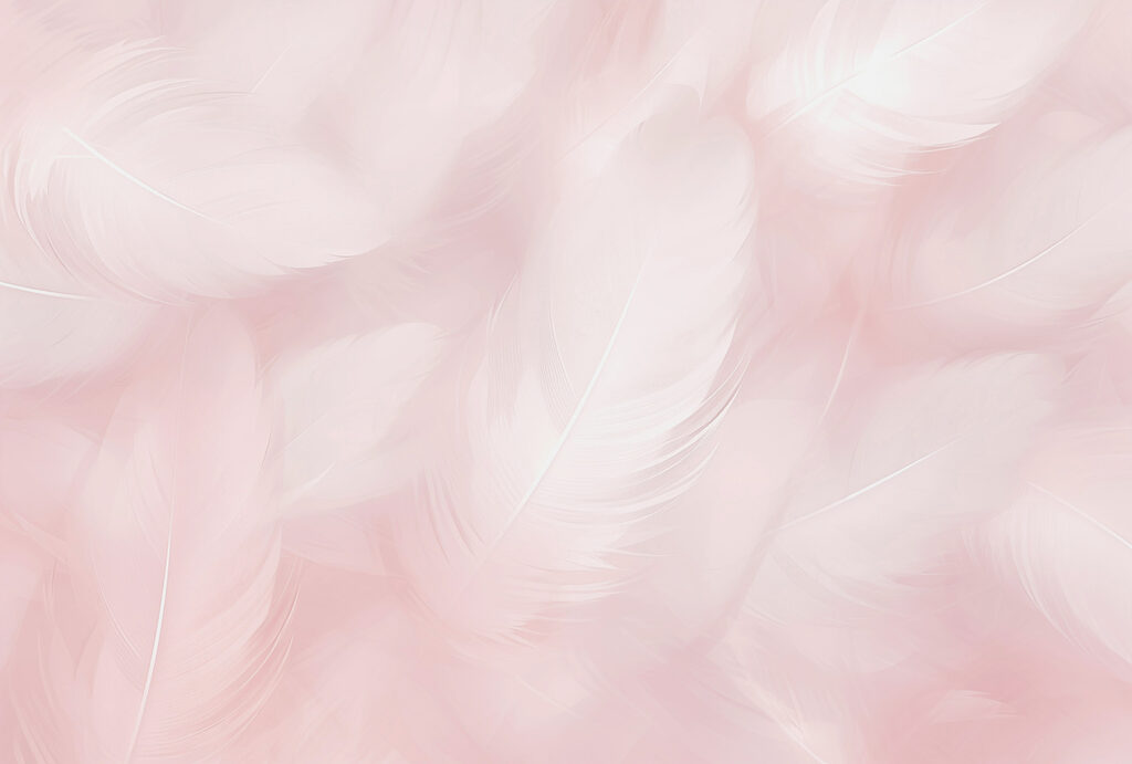 Piume bianche su rosa — design completo