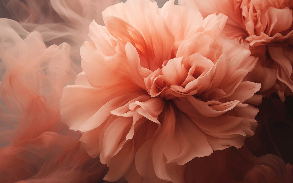 Peonia corallo, pieghe scure — design completo