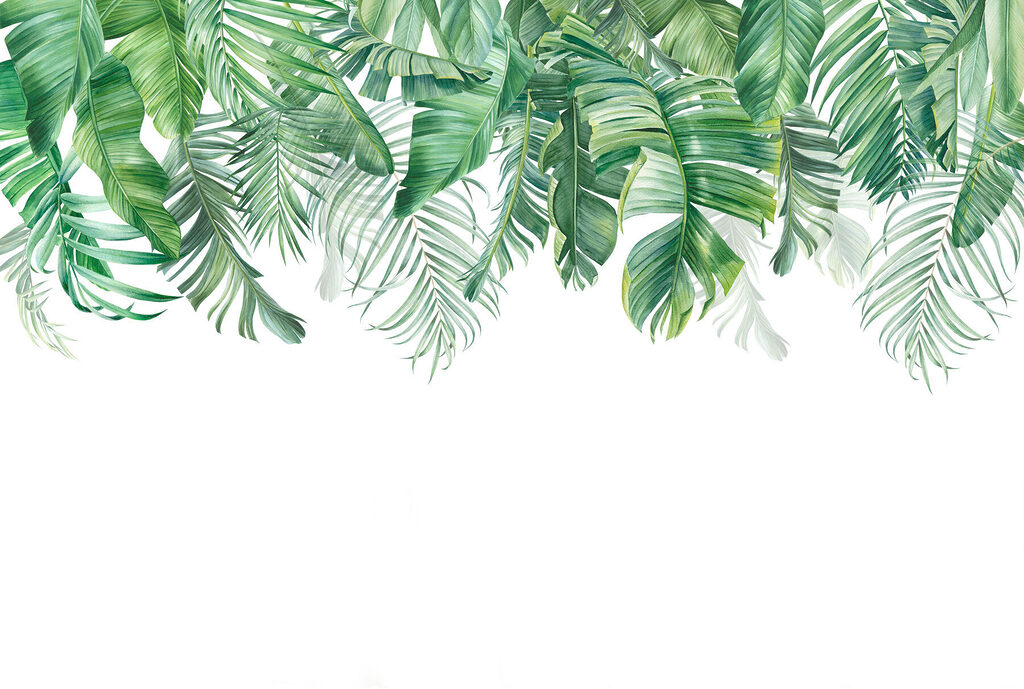 Palme verdi dal bordo — design completo