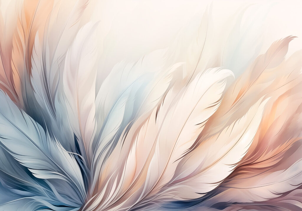 Piume al mattino — design completo