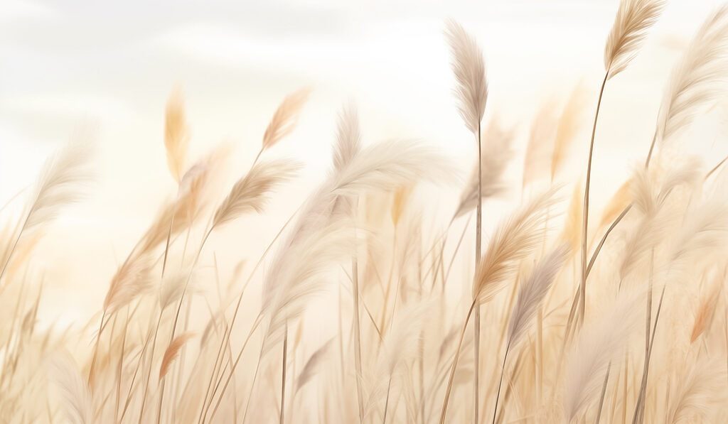 Erba dorata nella nebbia — design completo