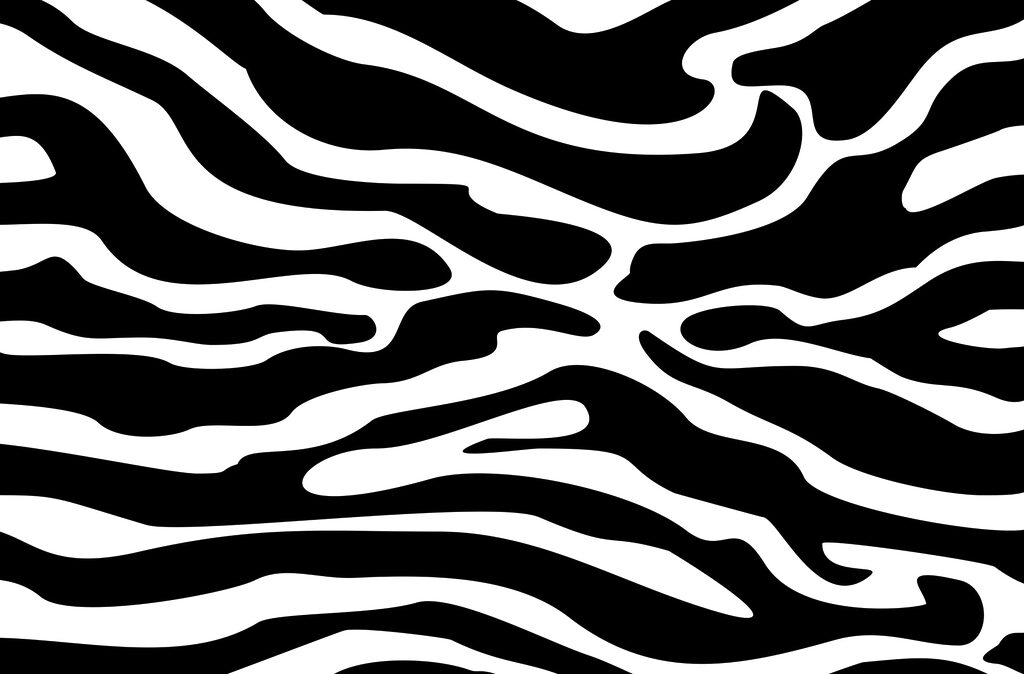 Zebra orizzontale ramificata — design completo