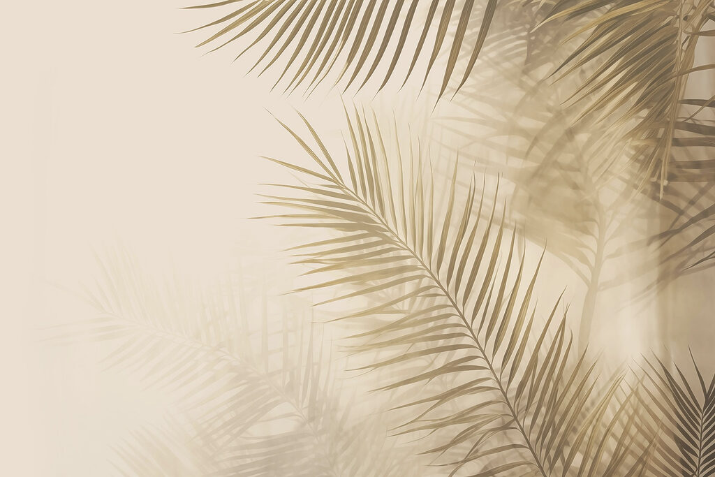 Ombre di palma morbide — design completo