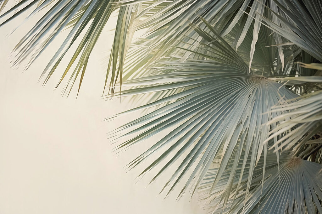 Ventaglio di palma — design completo