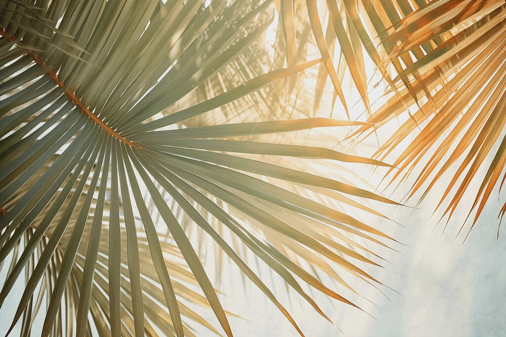 Sole tra palme verdi — design completo
