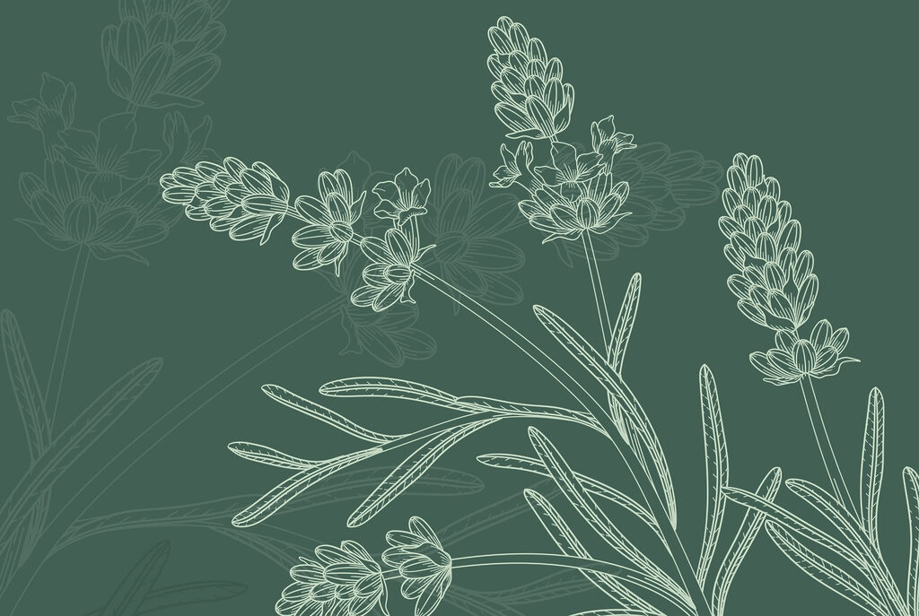 Grappoli di fiori disegnati — design completo