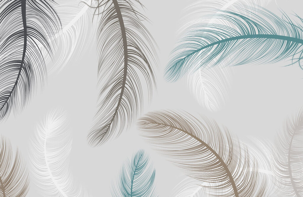 Piume in movimento — design completo