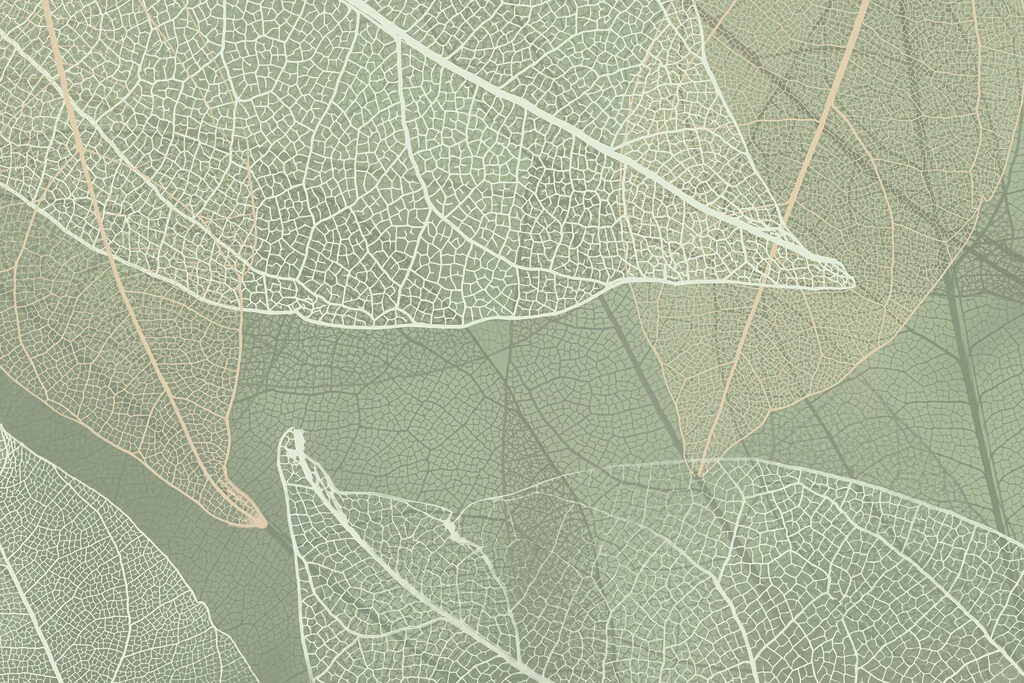 Nervature di foglie — design completo