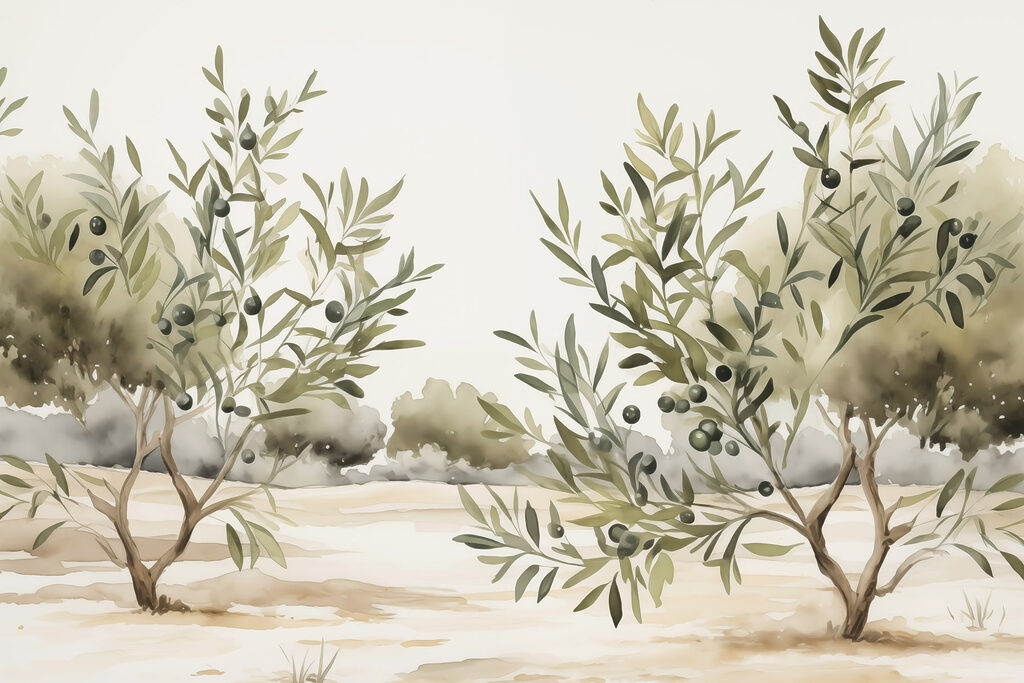 Ulivi in terra sabbiosa — design completo