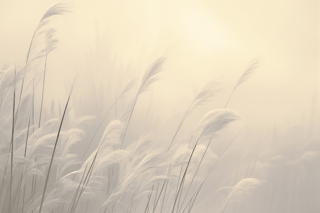 Erba piegata nella nebbia — design completo
