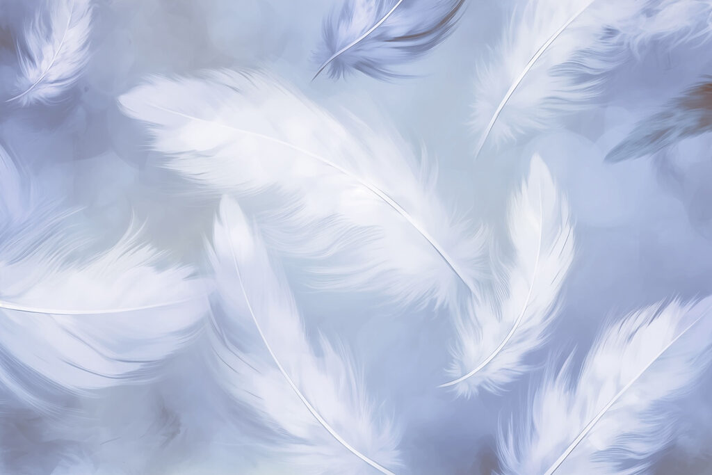 Piume leggere in volo — design completo