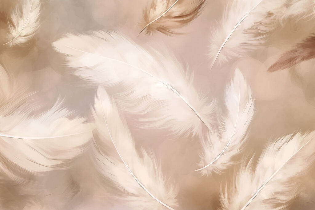 Piume leggere in volo — design completo