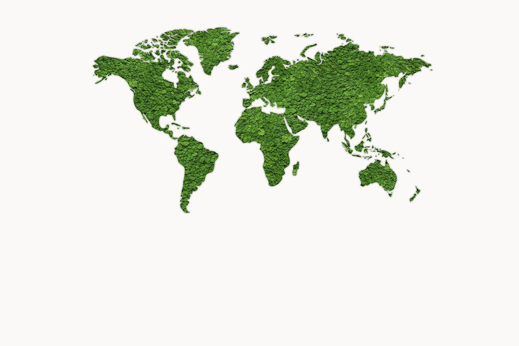Mappa verde oliva — design completo