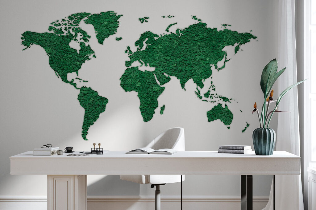Mappa verde oliva — ambiente 5