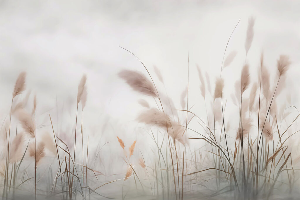 Pennacchi bruni nella nebbia — design completo