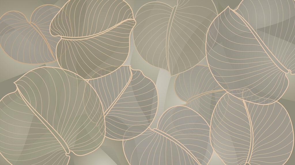 Bordi di foglie oliva — design completo