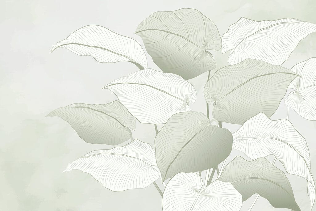 Foglie con nervature chiare — design completo