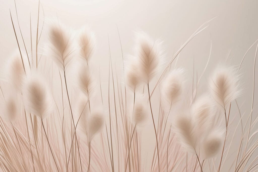 Piume su rosa antico — design completo