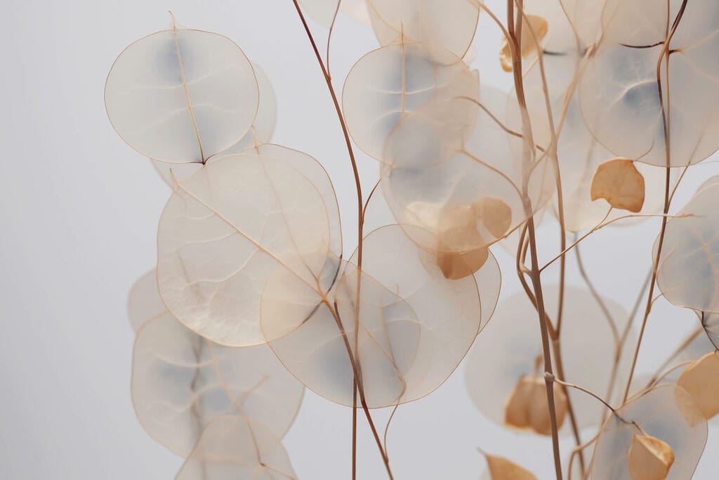Foglie tonde beige — design completo
