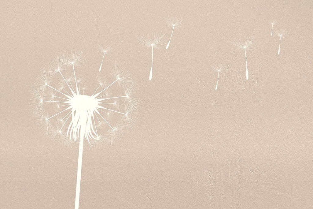 Soffione nel vento — design completo