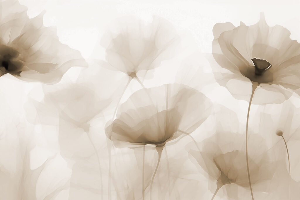 Fiori dai cuori scuri — design completo