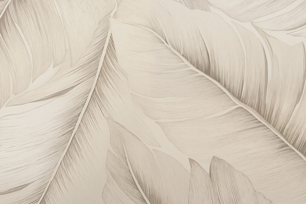 Piume bianche da vicino — design completo
